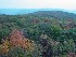 View from Olson Tower